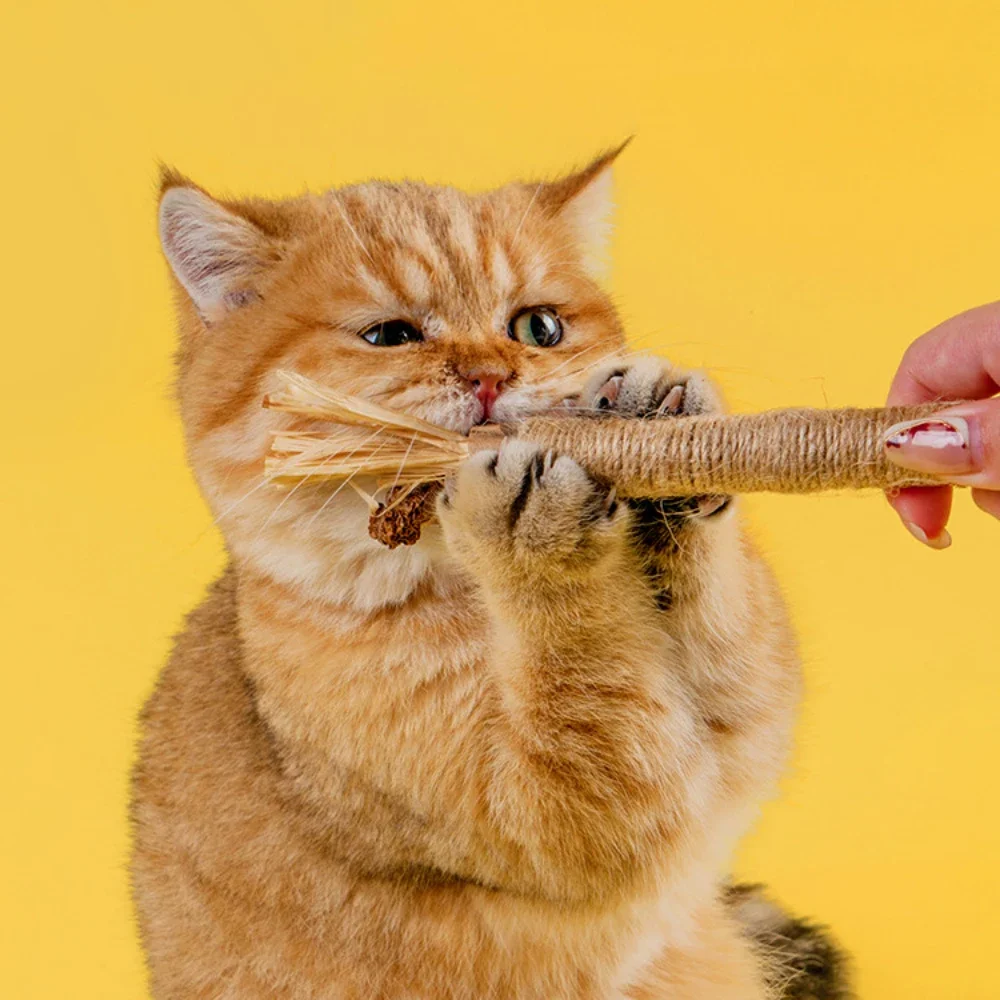 Pet Supplies