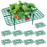 Strawberry Planter Stand Plastic Vertical Gardening Frame Support Growth Durable Holder Prevents fruit Rotting Garden Tools