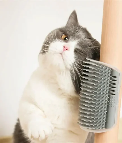 Cat Scratcher Massager for Cats Scratching Pets Brush Remove Hair Comb Grooming Table Dogs Kitten Care Royal Canin Accessories